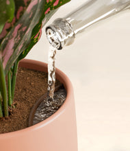 Load image into Gallery viewer, Calm Rose stand:all