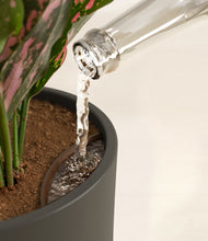 Load image into Gallery viewer, Dark Olive stand:all