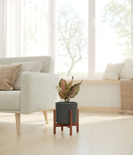 Load image into Gallery viewer, Dark Olive stand:walnut