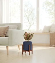 Load image into Gallery viewer, Deep Navy stand:walnut