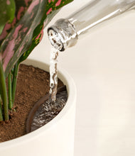 Load image into Gallery viewer, Cream stand:all