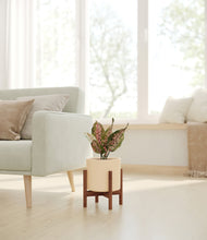 Load image into Gallery viewer, Cream stand:walnut