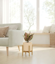 Load image into Gallery viewer, Cream stand:bamboo