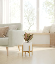 Load image into Gallery viewer, White stand:bamboo