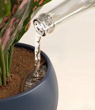 Load image into Gallery viewer, Deep Navy stand:all