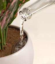 Load image into Gallery viewer, Winter Clouds stand:all