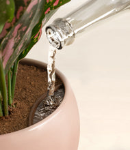 Load image into Gallery viewer, Calm Rose stand:all