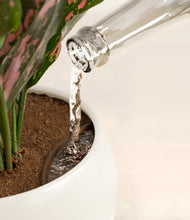 Load image into Gallery viewer, Shiny EggWhite stand:all