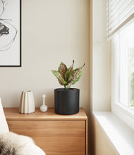 Load image into Gallery viewer, Black