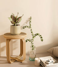 Load image into Gallery viewer, Almond Green