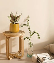 Load image into Gallery viewer, Mustard