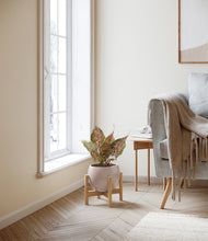 Load image into Gallery viewer, Desert Brown stand:bamboo