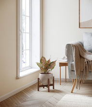 Load image into Gallery viewer, Winter Clouds stand:walnut