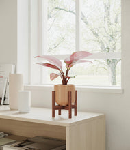 Load image into Gallery viewer, Striped Peach Pink stand:walnut