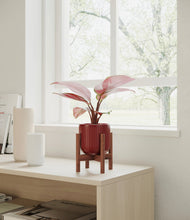 Load image into Gallery viewer, Striped Cherry Red stand:walnut