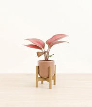 Load image into Gallery viewer, Hammered Peach Pink stand:bamboo