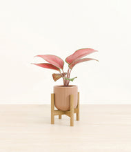 Load image into Gallery viewer, Striped Peach Pink stand:bamboo