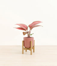 Load image into Gallery viewer, Hammered Rose Pink stand:bamboo