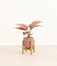 Load image into Gallery viewer, Striped Rose Pink stand:bamboo