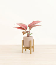 Load image into Gallery viewer, Sandy Pink stand:bamboo