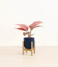 Load image into Gallery viewer, Twilight Blue stand:bamboo