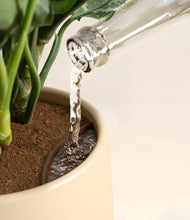 Load image into Gallery viewer, Almond Green stand:all