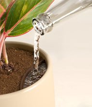 Load image into Gallery viewer, Almond Green stand:all