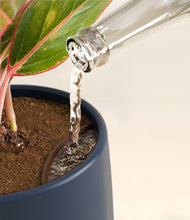 Load image into Gallery viewer, Deep Navy stand:all