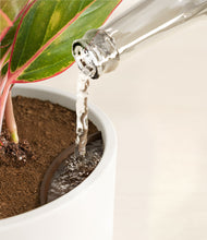 Load image into Gallery viewer, White stand:all