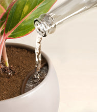 Load image into Gallery viewer, Winter Clouds stand:all