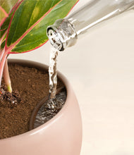 Load image into Gallery viewer, Calm Rose stand:all