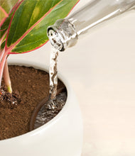 Load image into Gallery viewer, Shiny EggWhite stand:all