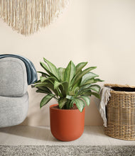 Load image into Gallery viewer, Earth Red