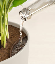 Load image into Gallery viewer, Natural Bamboo stand:all