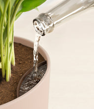 Load image into Gallery viewer, Sandy Pink stand:all