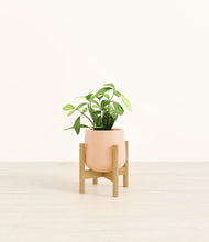 Load image into Gallery viewer, Gentle Pink stand:bamboo