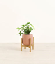 Load image into Gallery viewer, Calm Rose stand:bamboo