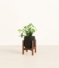 Load image into Gallery viewer, Black stand:walnut