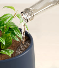 Load image into Gallery viewer, Deep Navy stand:all