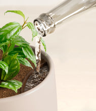 Load image into Gallery viewer, Eternal Gray stand:all