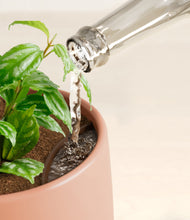 Load image into Gallery viewer, Calm Rose stand:all