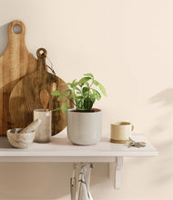 Load image into Gallery viewer, Cotton White