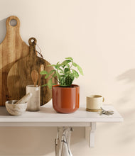 Load image into Gallery viewer, Glossy Red