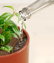 Load image into Gallery viewer, Glossy Red stand:all