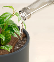 Load image into Gallery viewer, Iron Gray stand:all