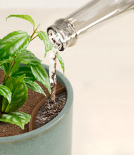 Load image into Gallery viewer, Reactive Aqua stand:all