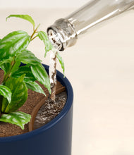 Load image into Gallery viewer, Twilight Blue stand:all