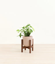 Load image into Gallery viewer, Sandy Pink stand:walnut