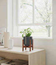 Load image into Gallery viewer, Iron Gray stand:walnut