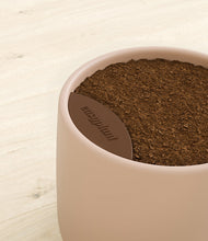 Load image into Gallery viewer, Gentle Pink stand:bamboo